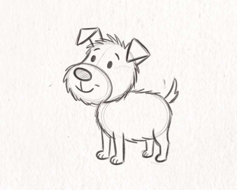 Cachorrinho