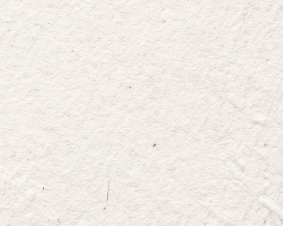 Tela em Branco