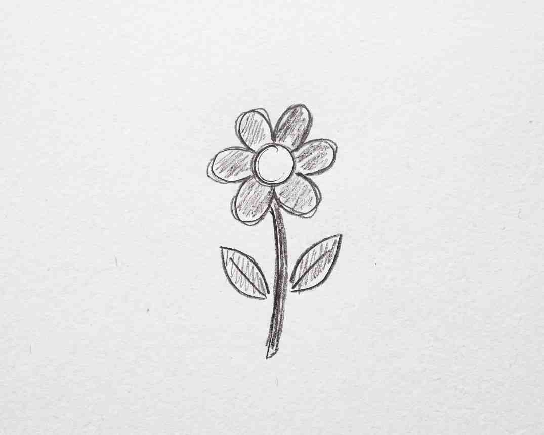 Flor