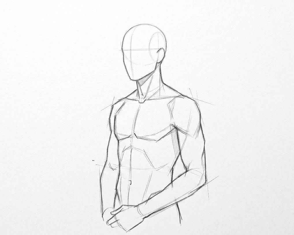 Torso Masculino em Perspectiva