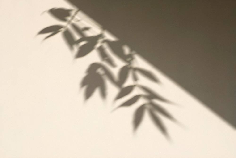 Volume com Luz e Sombra